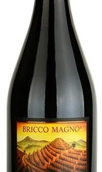 Villadoria Langhe Rosso Bricco Magno 2016 Cheap