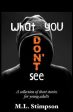 What You Don t See: A Collection of Short Stories for Young Adults Hot on Sale