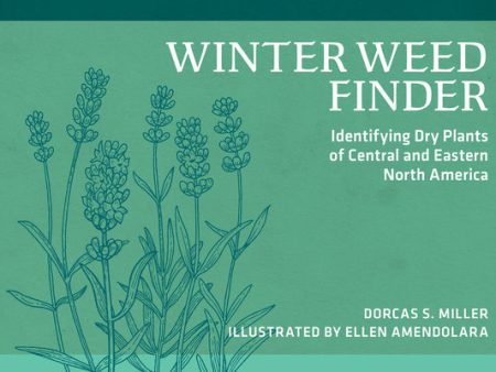 Winter Weed Finder: Identifying Dry Plants of Central and Eastern North America Sale